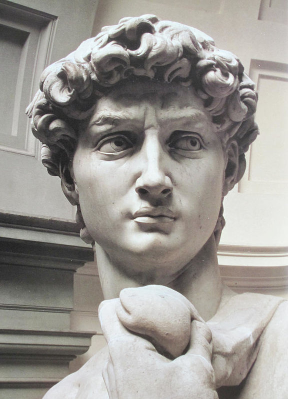 head-of-david-by-michelangelo-carl-purcell
